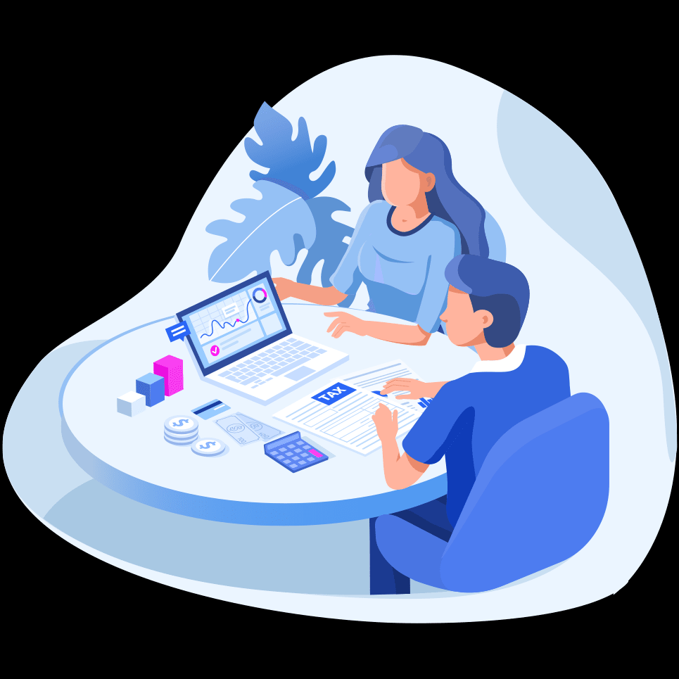 Software Consultation